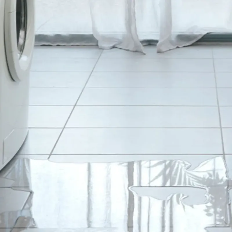 Appliance Leak Cleanup in Clay County, TX