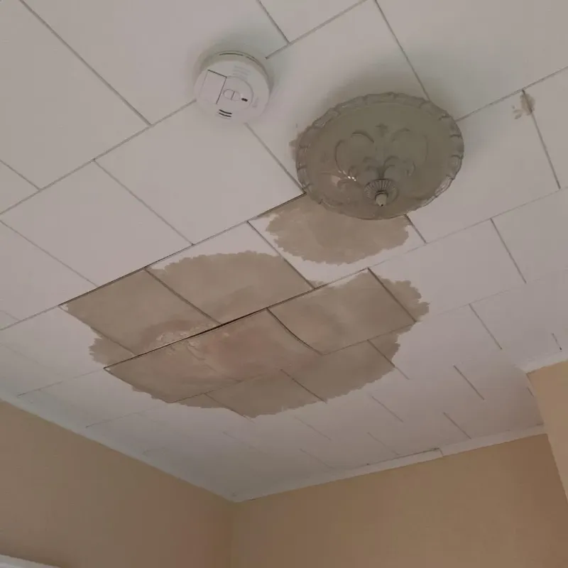 Ceiling Water Damage Repair in Clay County, TX