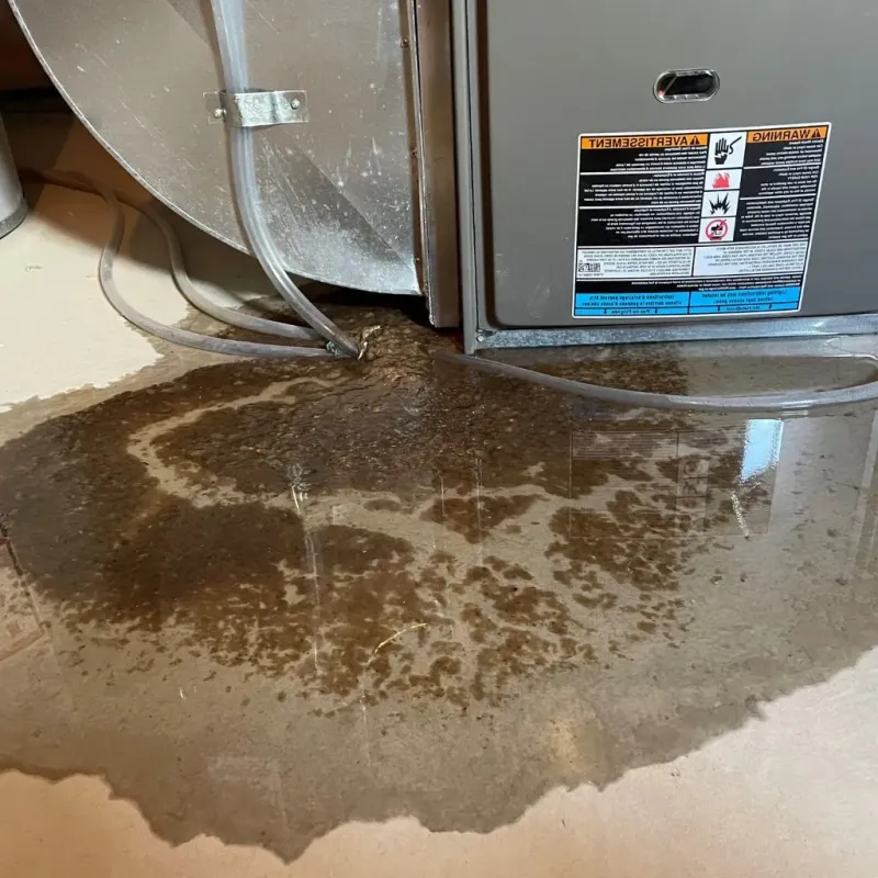 Pipe Burst and Leak Restoration in Clay County, TX