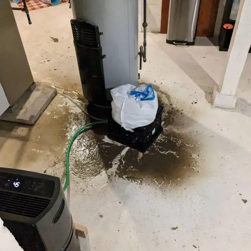 Sewage Backup Cleanup Service in Clay County, TX